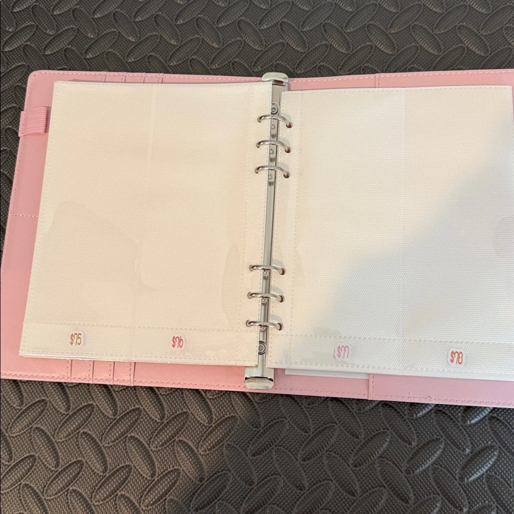 Pink Savings Challenge Envelope Organizer